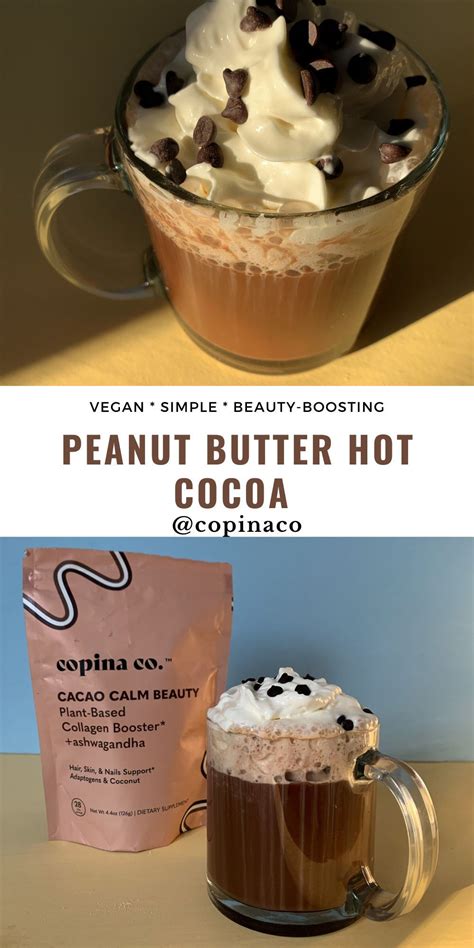 Peanut Butter Hot Cocoa Recipe Gluten Free Chocolate Desserts
