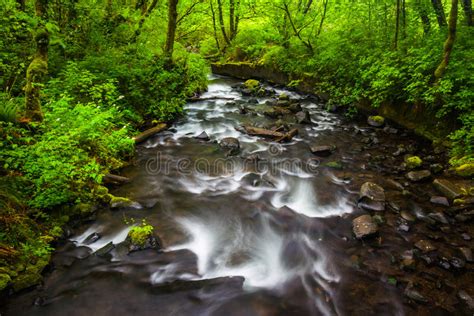 13252 Green Cascades Photos Free And Royalty Free Stock Photos From