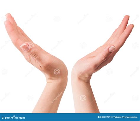 Duas Mãos Abertas Da Mulher Imagens De Stock Royalty Free Imagem 30562799