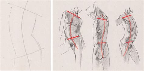 How To Draw A Torso Creative Bloq