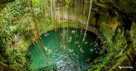 11 Cenotes En Yucatán Donde Nadar Es Toda Una Aventura