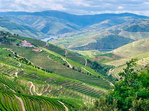 Douro Valley Tips And Things To Know Geeky Explorer