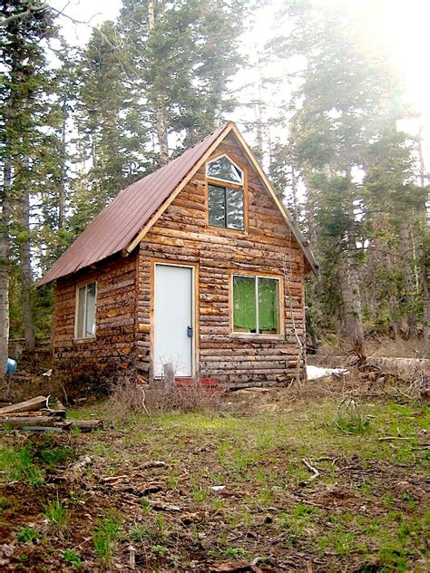 Tiny Log Cabin With A Tall Sleeping Loft Tiny House Pins
