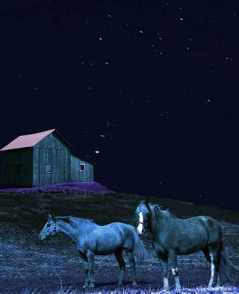 Horses At Night Scene Photograph By Debra Millet Pixels