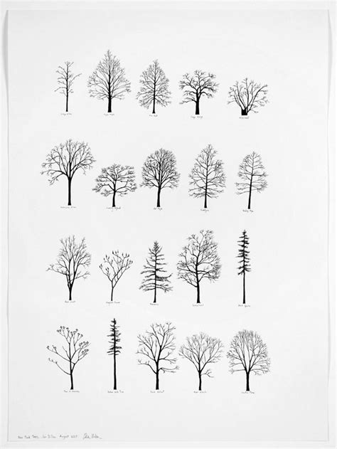Minimalist Simple Pine Tree Drawing Easy Drawing Ideas Images And