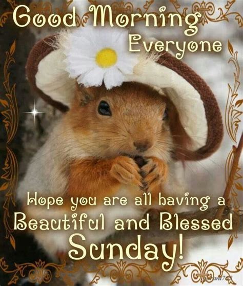 Good sunday is one of the most pleasant greetings you can receive in the morning. Good Morning Sunday Pictures, Photos, and Images for ...