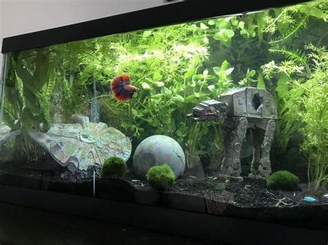 Pin By Love Lagoon On Fish Tank Fish Tank Themes Cool Fish Tank