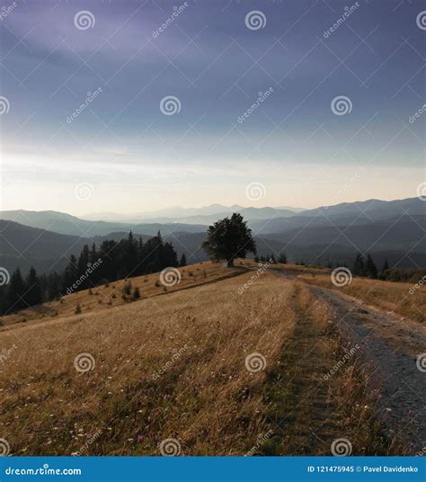 Mountain Landscape Lonely Tree Near The Hiking Path Stock Image