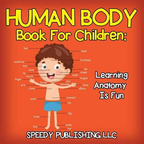 Human Body Book For Children Learning Anatomy Is Fun