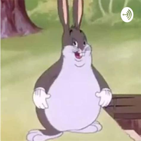 Big Chungus Big Chungus Wallpapers Wallpaper Cave See Rate And Share The Best Big Chungus