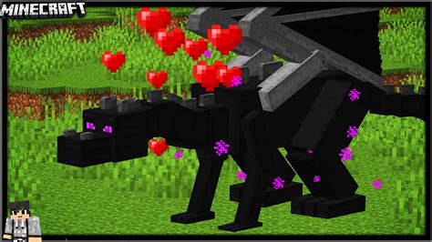 so i tamed the ender dragon in minecraft [datapack] ride and control youtube