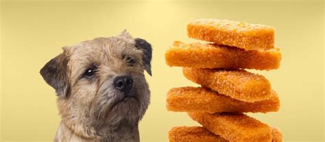 Can Dogs Eat Fish Sticks A Comprehensive Guide