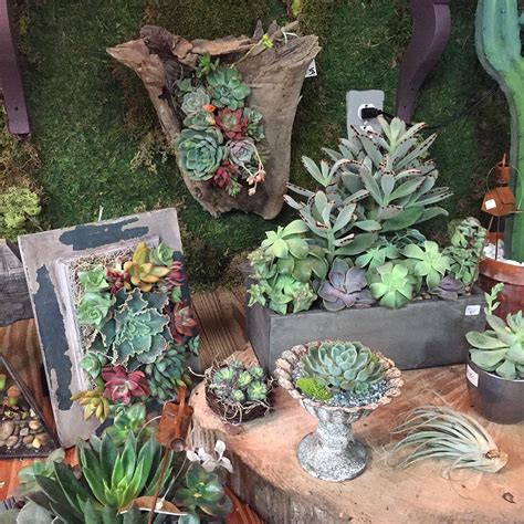 21+ Succulent Garden Designs | Garden Designs | Design Trends