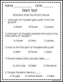 Second Grade Plant Test Second Grade Plants Vocabulary Test