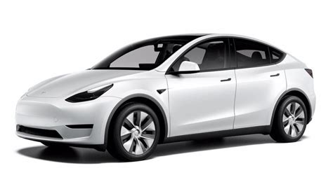 Tesla Model Y Guida Completa Al Suv Elettrico E Zoomed