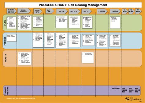 Calf Rearing Flow Process Chart Leanfarm