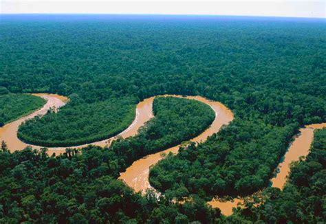 Top Ten Adventures You Must Do In The Peruvian Amazon Huffpost