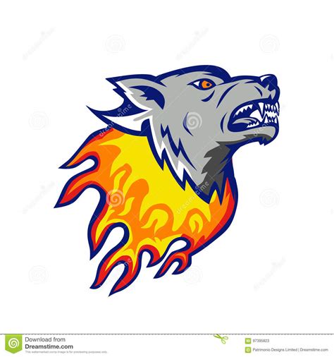Flaming Wolf Head On Fire Isolated Stock Vector Illustration Of