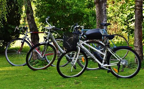 4 Assorted Bicycles Free Image Peakpx