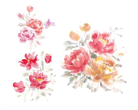 Premium Vector Rose Watercolor Flower Arrangement