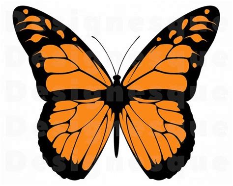 299 Butterfly Monarch Svg SVG PNG EPS DXF File