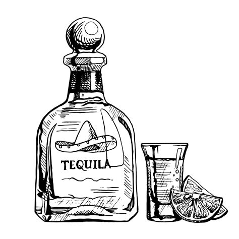 Hand Drawn Bottle Of Tequila With A Glass And Slices Of Lemon Vector