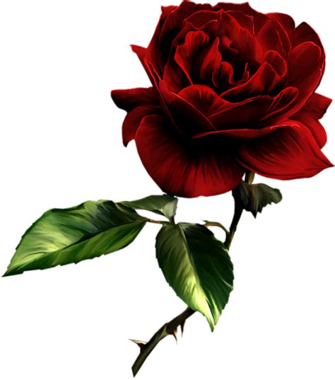 Painted Red Rose Clipart Gallery Yopriceville High