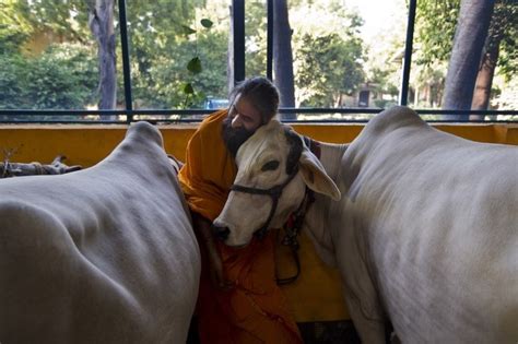 India Hindus Modi Urges Action Against Cow Vigilantes Bbc News
