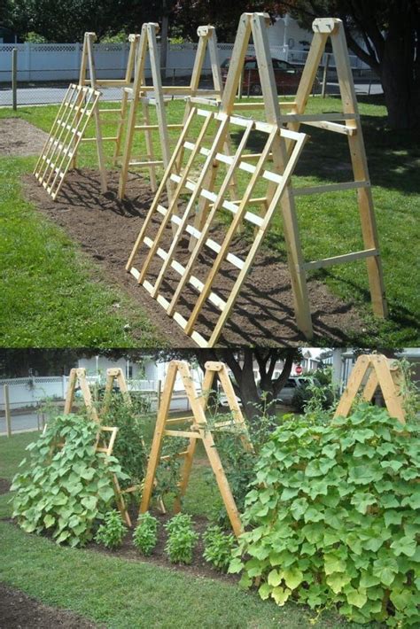 Easy Diy Cucumber Trellis Ideas In Cucumber Trellis