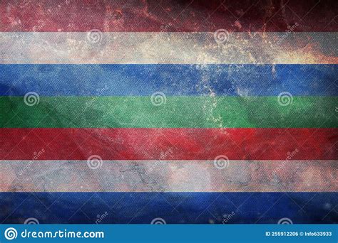 retro flag of anglo frisian peoples schiermonnikogers with grunge texture flag representing
