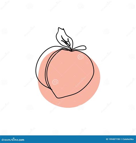 Peach Icon In A Line Art Style Juicy Fruit Isolated On White