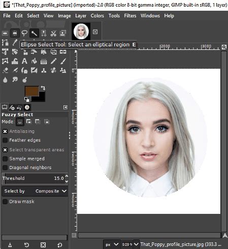 15 Best Free Circular Profile Picture Maker Software For Windows