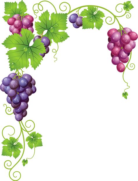 Grape Vine Clipart Png Grape Vine Frame Transparent Png Full Size