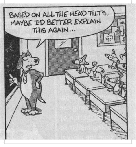 Pin By Barb Begam On Pet Sayings And Cartoons In Teaching Humor