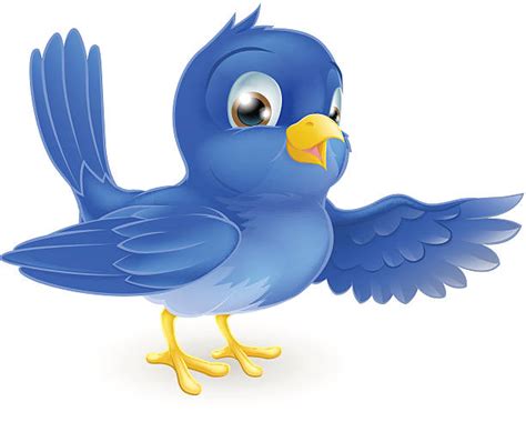 Bluebird Illustrations Royalty Free Vector Graphics And Clip Art Istock