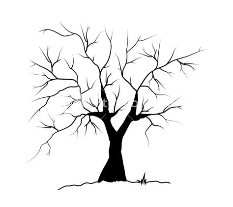 Dead Tree Silhouette Royalty Free Stock Image Storyblocks