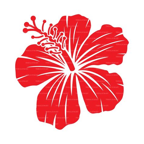 Hibiscus flower. Cut files for Cricut Clip Art silhouette | Etsy