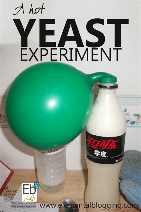 Science Corner A Hot Yeast Experiment