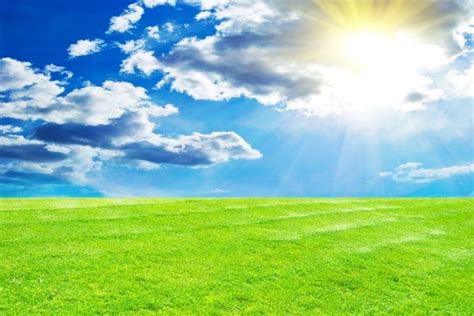 Sunny Lawn Hd Picture Free Stock Photos In Image Format  Size