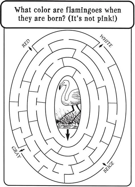 Spark Nature Fun Facts Mazes 6 Sample Mazes With Answers Dover Publications Maze Puzzles