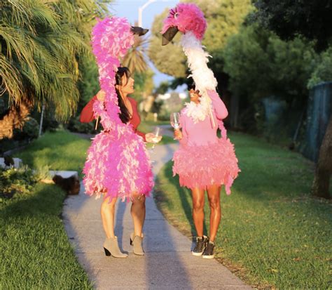 Dyi Flamingo Costume For Halloween Ounce Of Salt