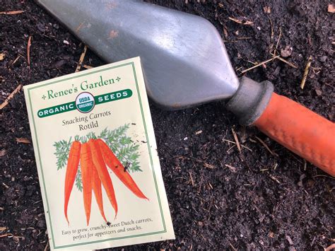 Sacramento Digs Gardening Dig In Garden Checklist For Week Of Sept 20