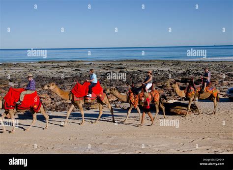 Australia Western Australia Broome Cable Beach Sight Seeing Camel Ride Along Cable Beach And