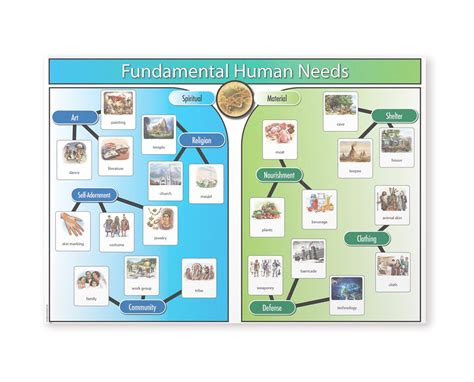 Montessori Material Fundamental Need Chart With Cards