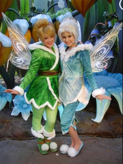 560 Best Disney Faeries Images On Pinterest Tinkerbell Pixie Hollow And Disney Fairies