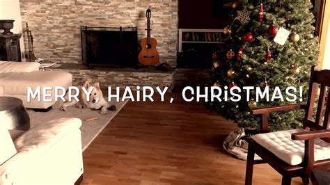 Merry Hairy Christmas Youtube