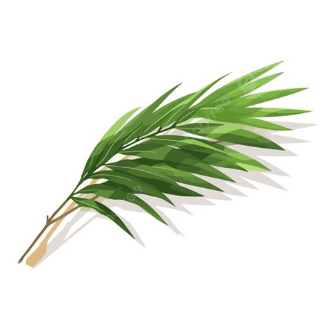 Palm Branch Vector Sticker Clipart Bundle Of Bamboo Leaves Is Shown
