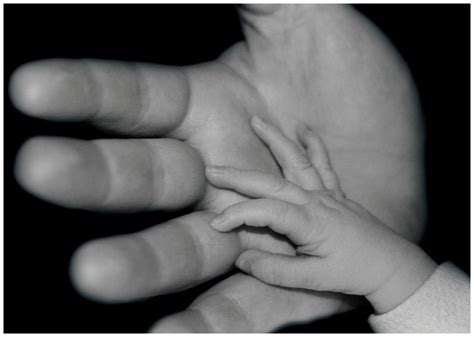 safe in my daddy s hands free photo download freeimages