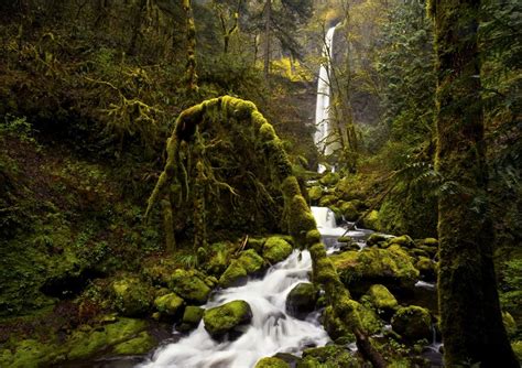 Perdido Nos Detalhes Cachoeira Elowah Rio Columbia Gorge Oregon Usa