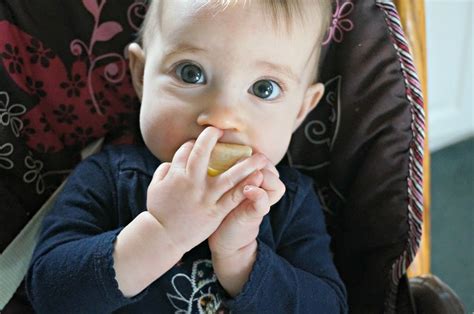 What happened when baby turned 6 months old. Baby Led Weaning First Food Ideas | A Healthy Slice of Life
